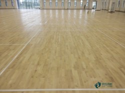 Щ\(yn)(dng)ľذ坍B(yng)