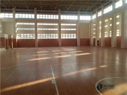 ^õ\(yn)ľذӱB(yng)